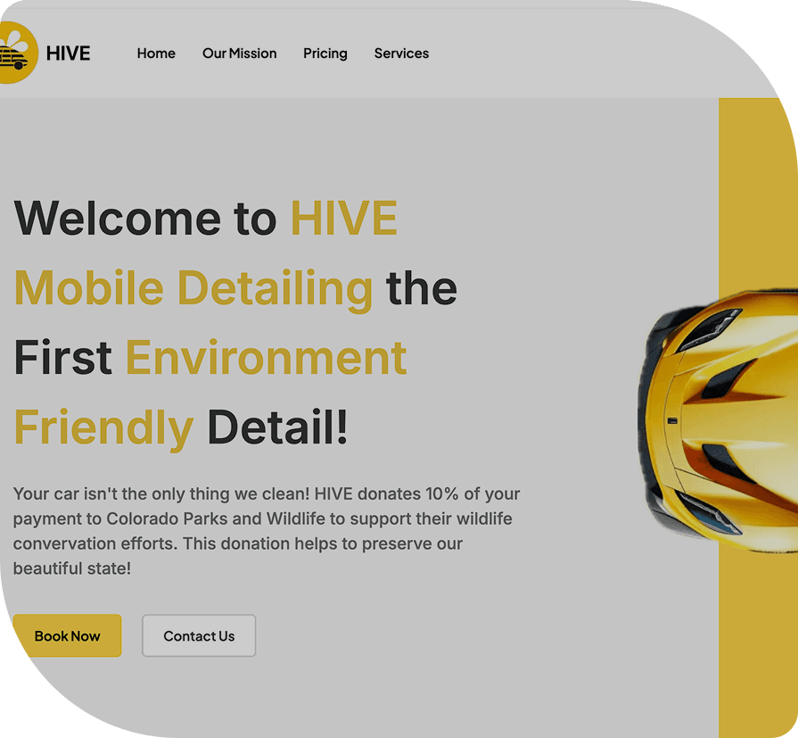 Hive Detailing Project